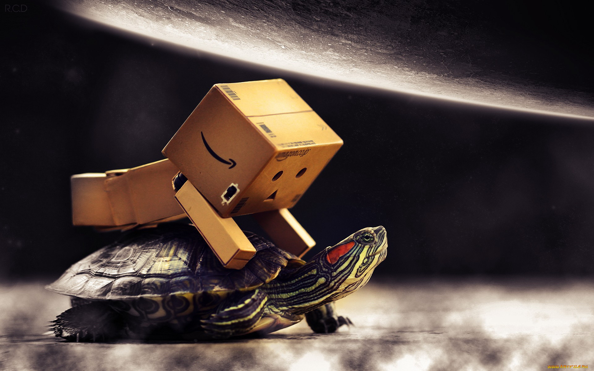 , , danboard